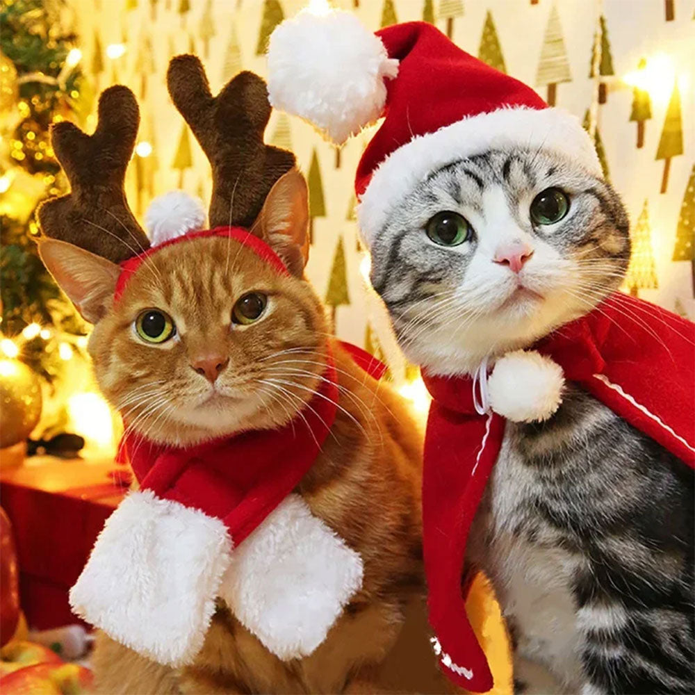 Christmas Santa Costume for Dogs and Cats | Warm Pet Clothes