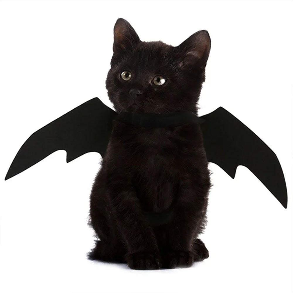 Halloween Bat Wings Harness Costume for Dogs and Cats, Black