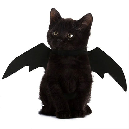 Halloween Bat Wings Harness Costume for Dogs and Cats, Black