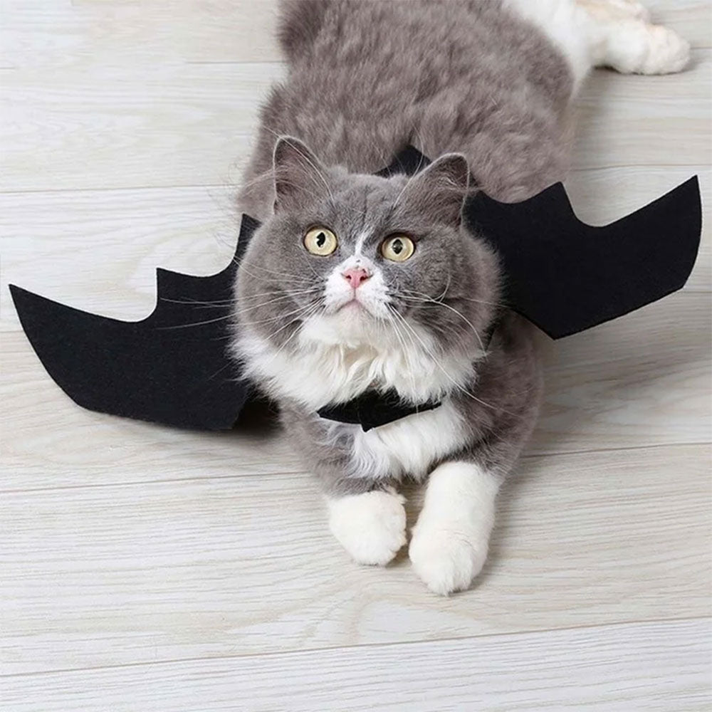 Halloween Bat Wings Harness Costume for Dogs and Cats, Black